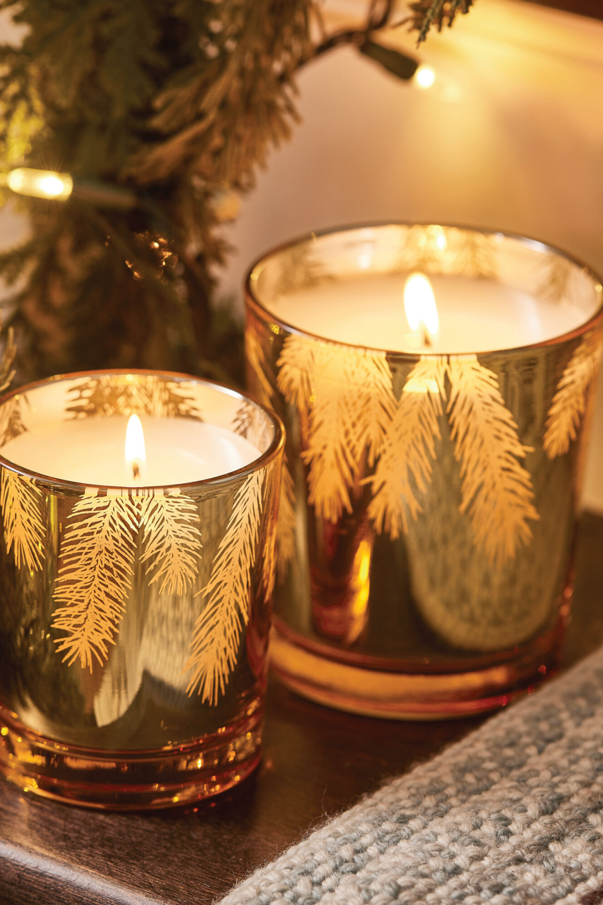 Thymes Frasier Fir 13oz Poured Gilded