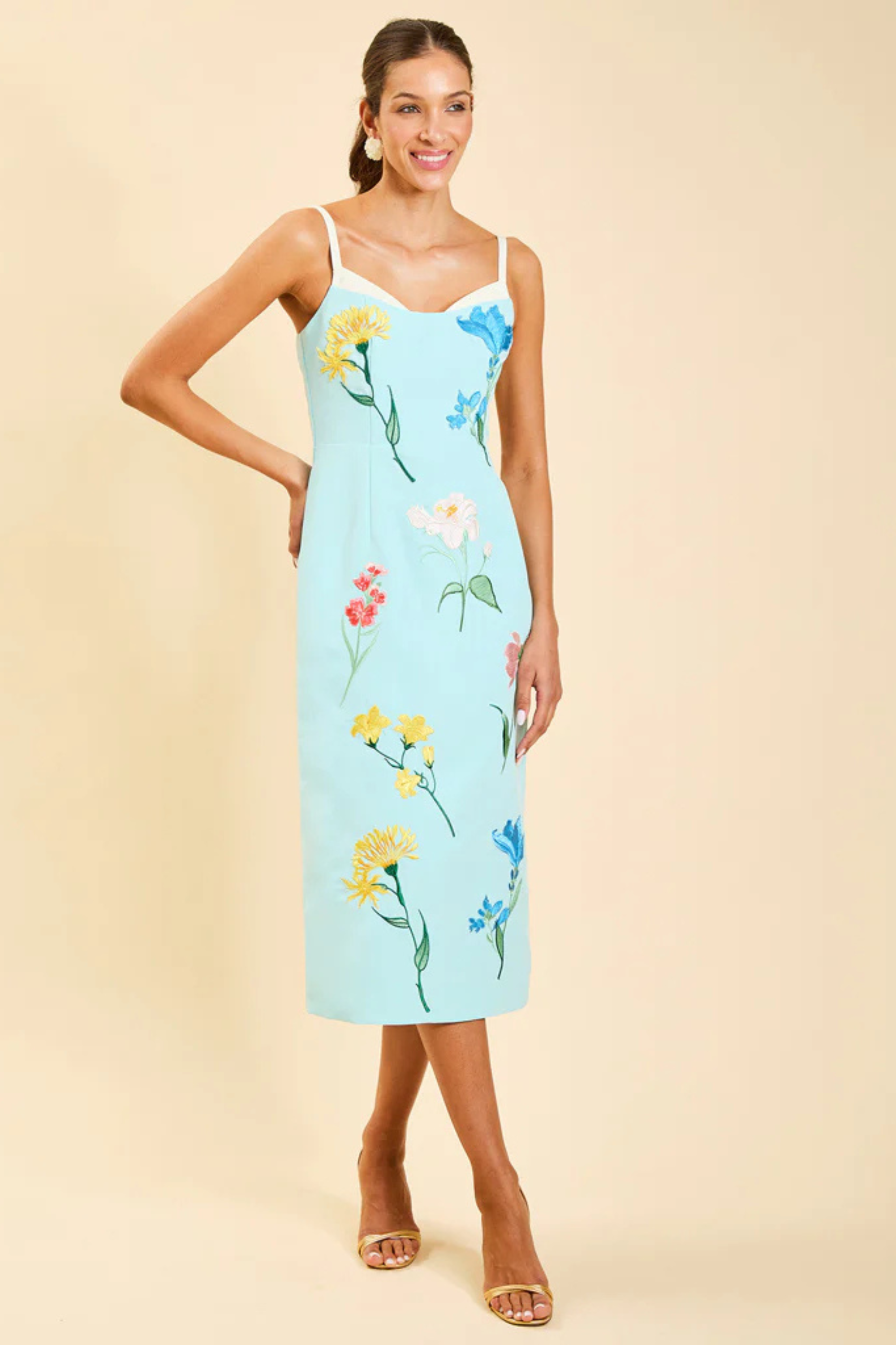 Mestiza Pacifica Midi Dress 6 / BLUE
