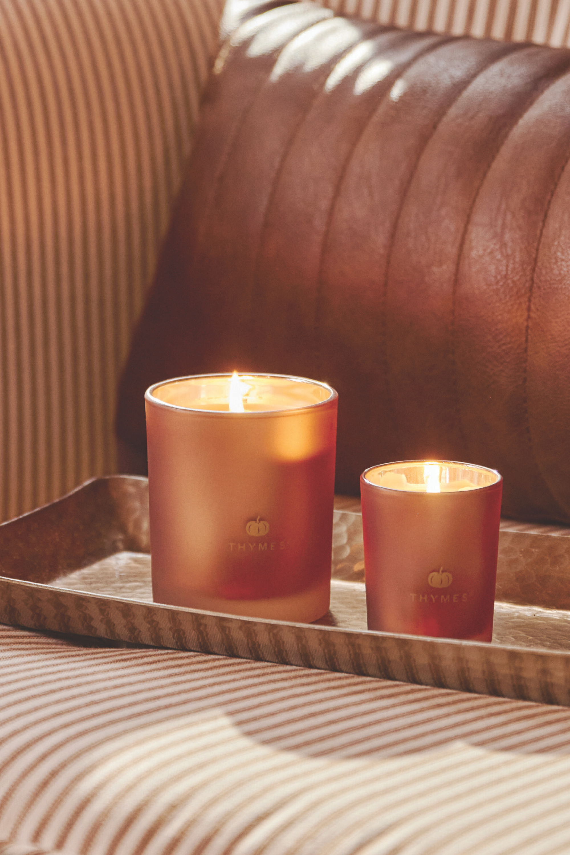 Thymes Pumpkin Laurel 6.5oz