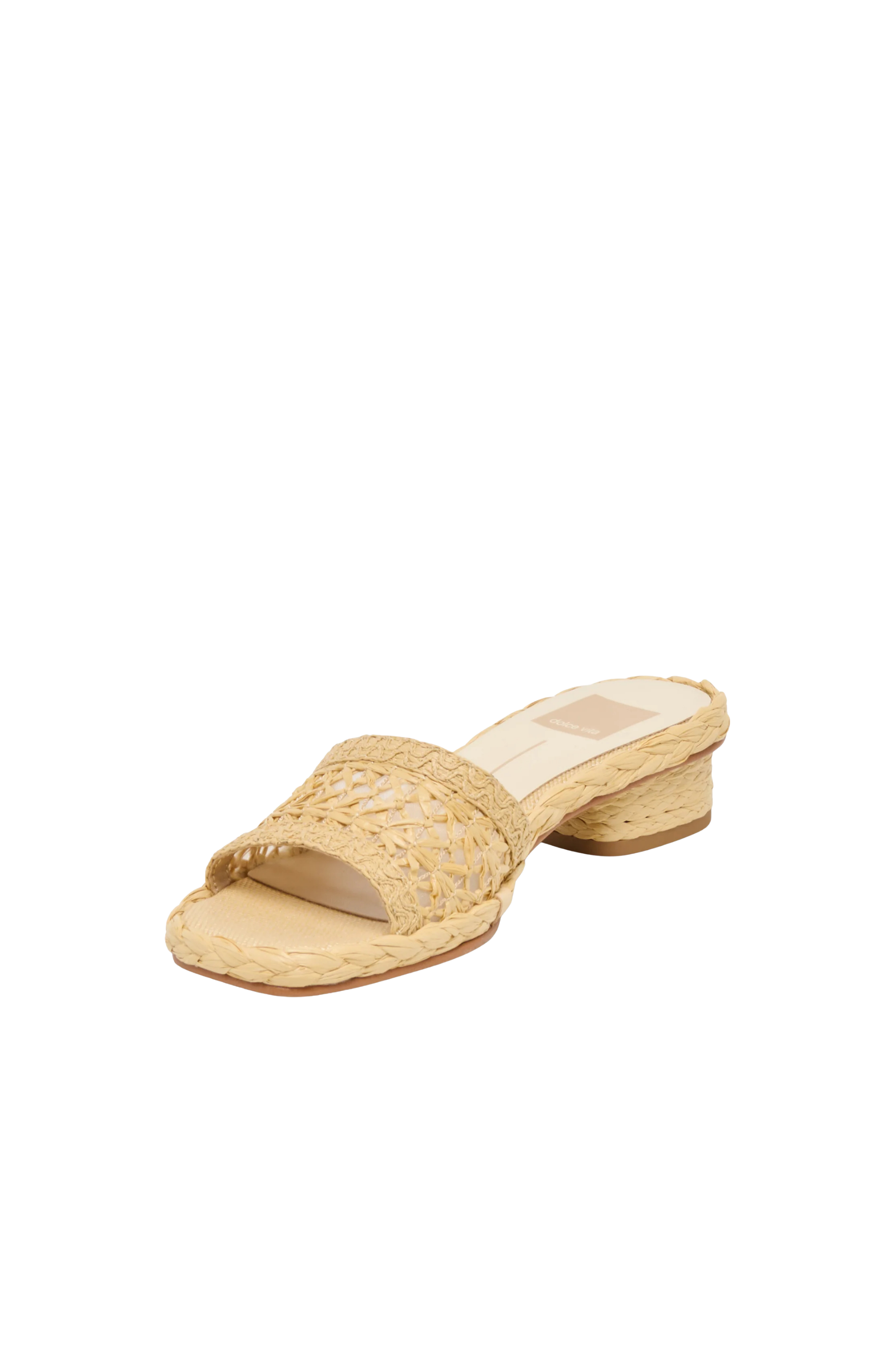 Dolce Vita Dixi Raffia Heel