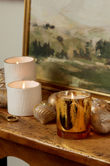 Thymes Frasier Fir Gilded Petite Candle