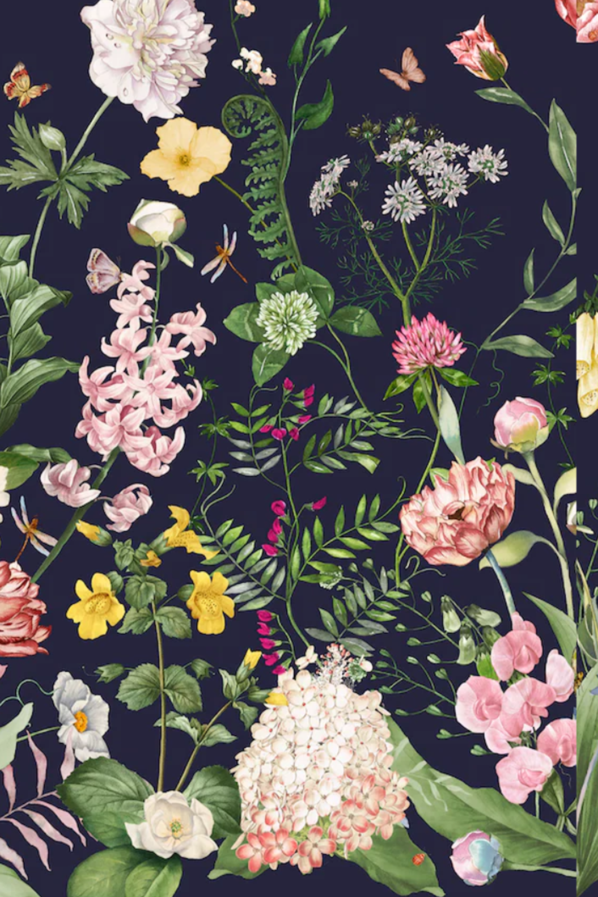 Cara Cara Calvia Top