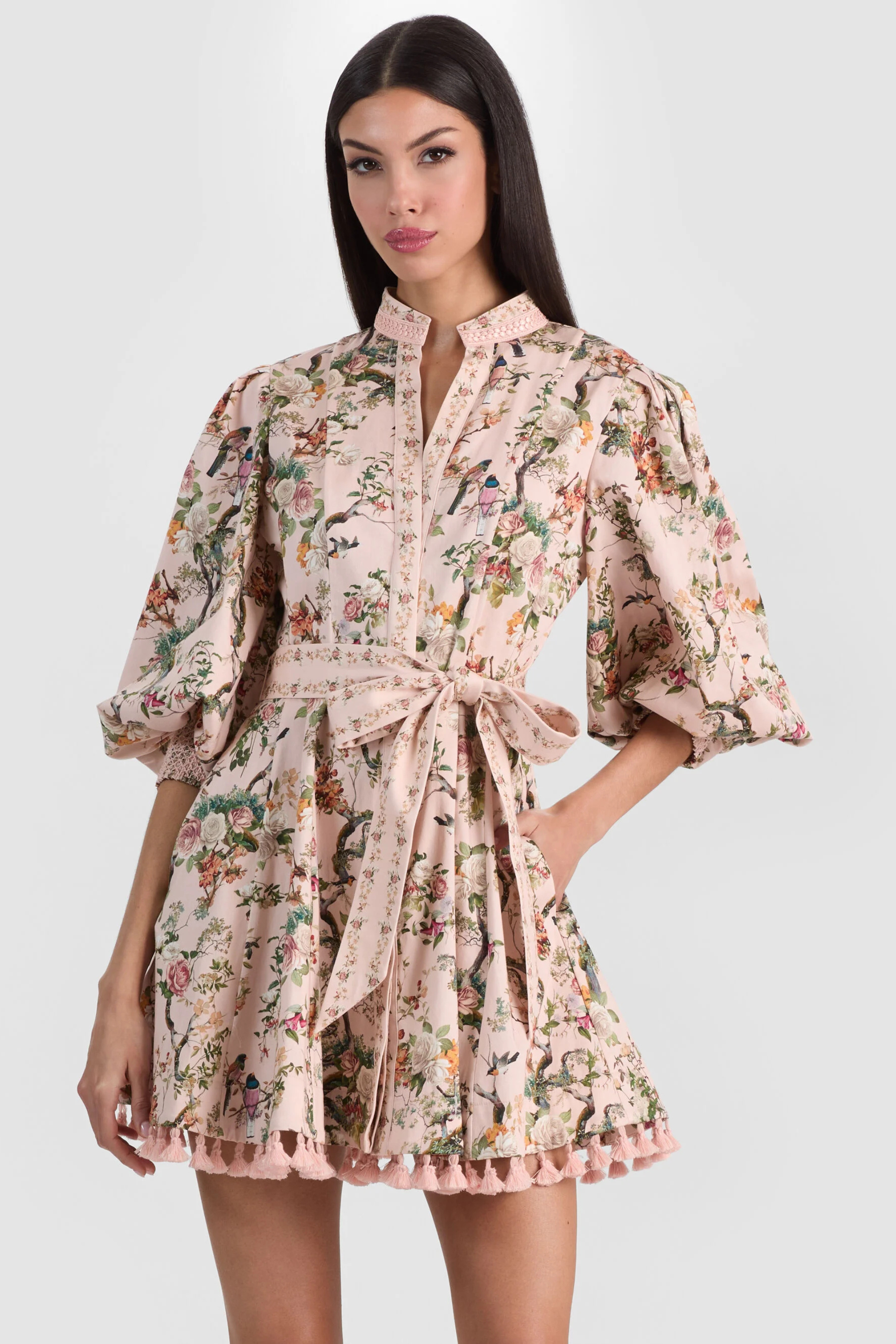 Alice + Olivia Lucy Mini Shirt Dress