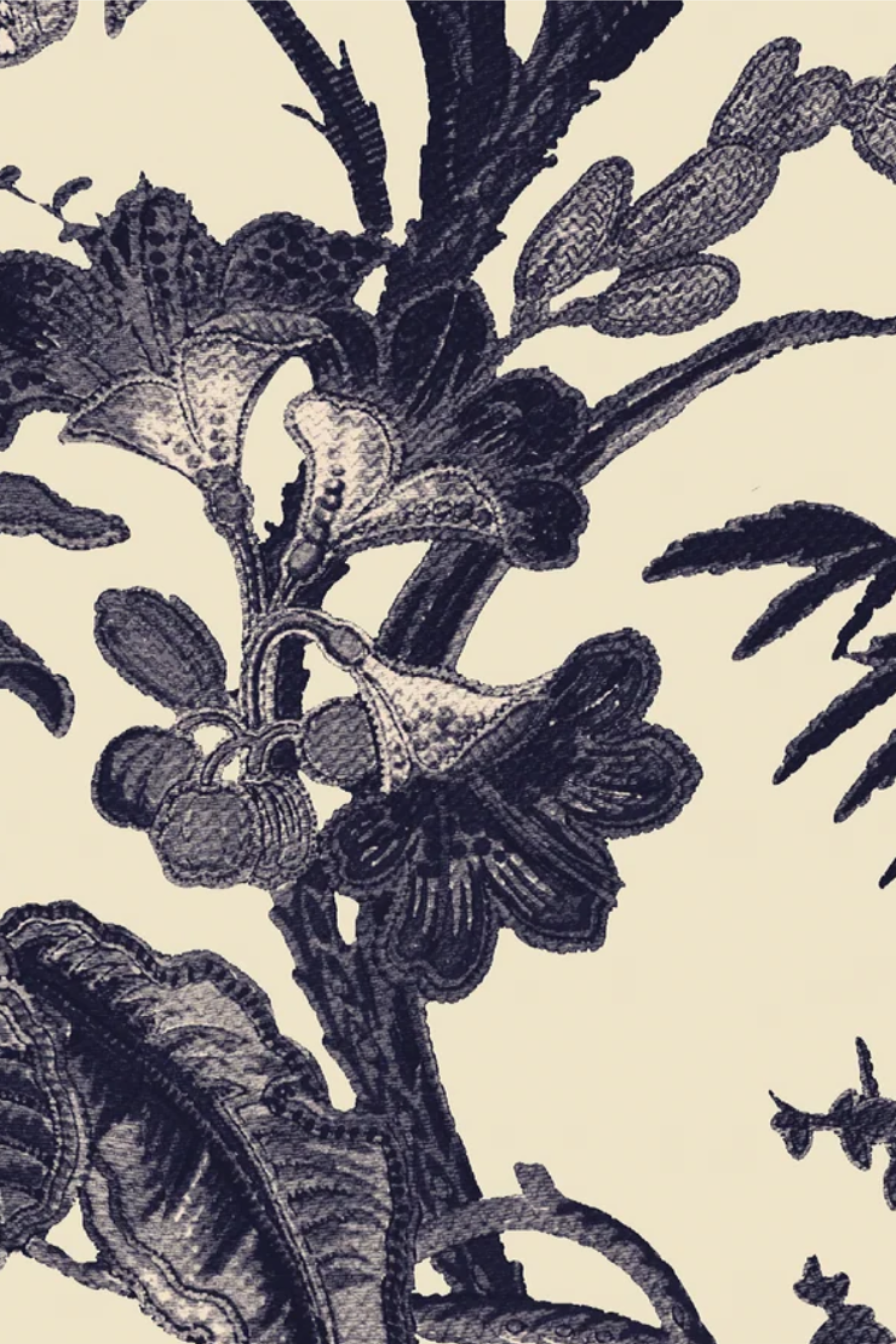 Cara Cara Octavia Dress