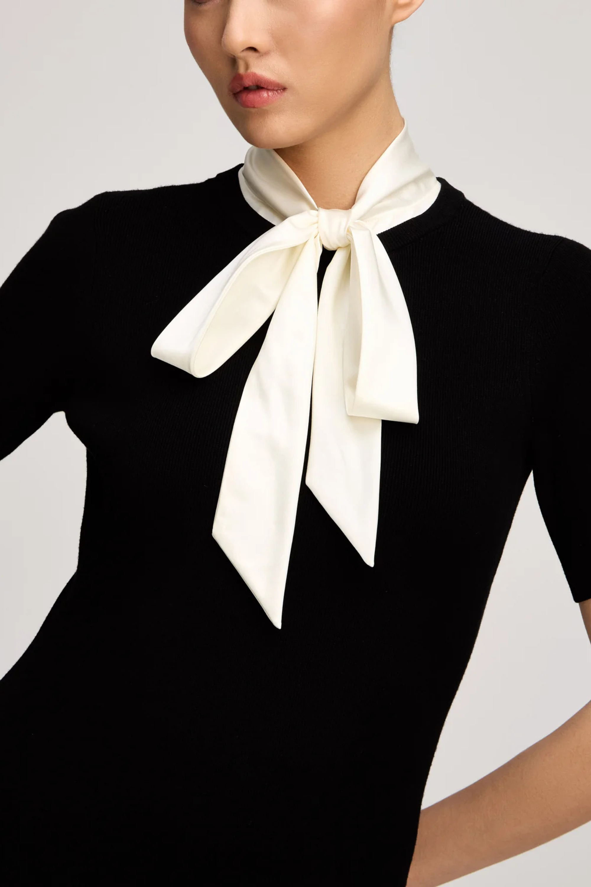 Cinq a Sept Janis Dress