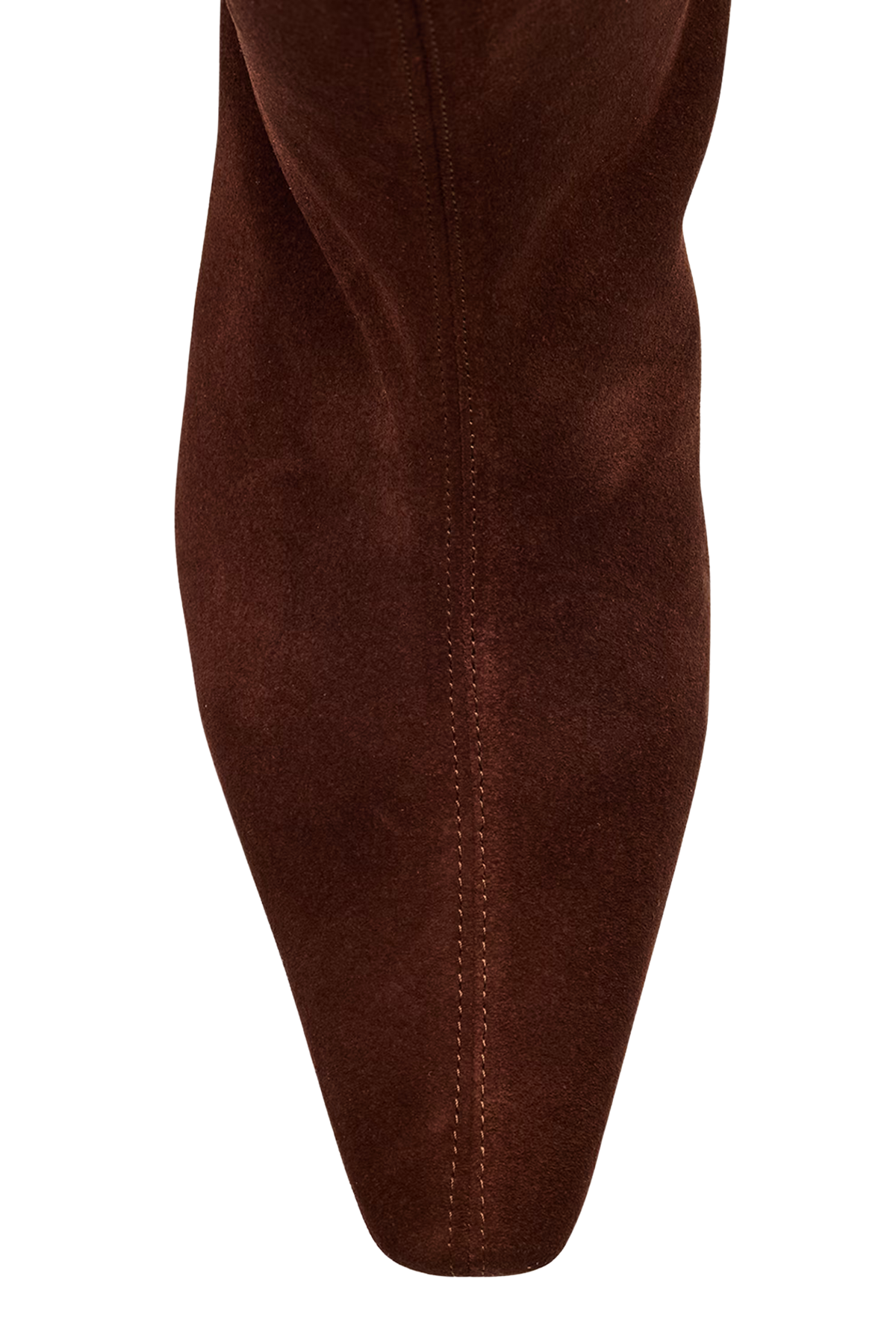 Staud Wally Tall Boot in Espresso
