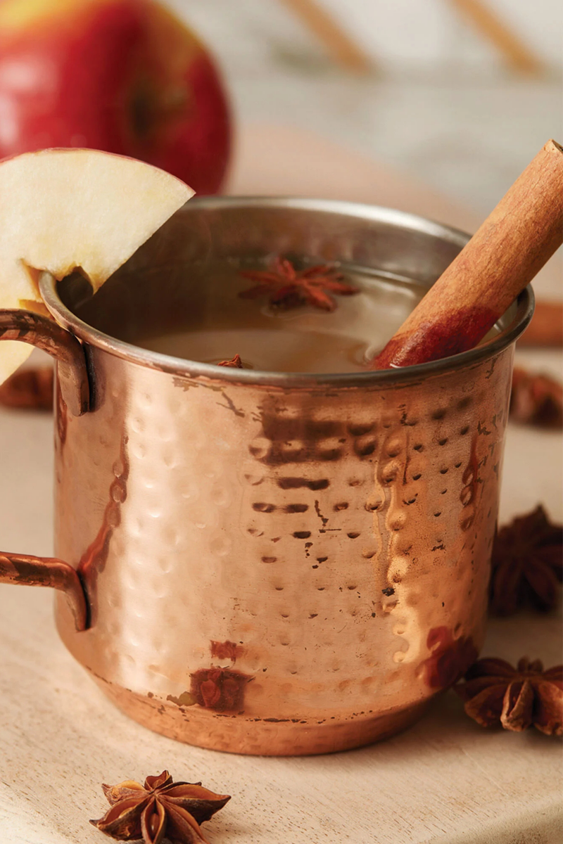 Thymes Simmered Cider Mug