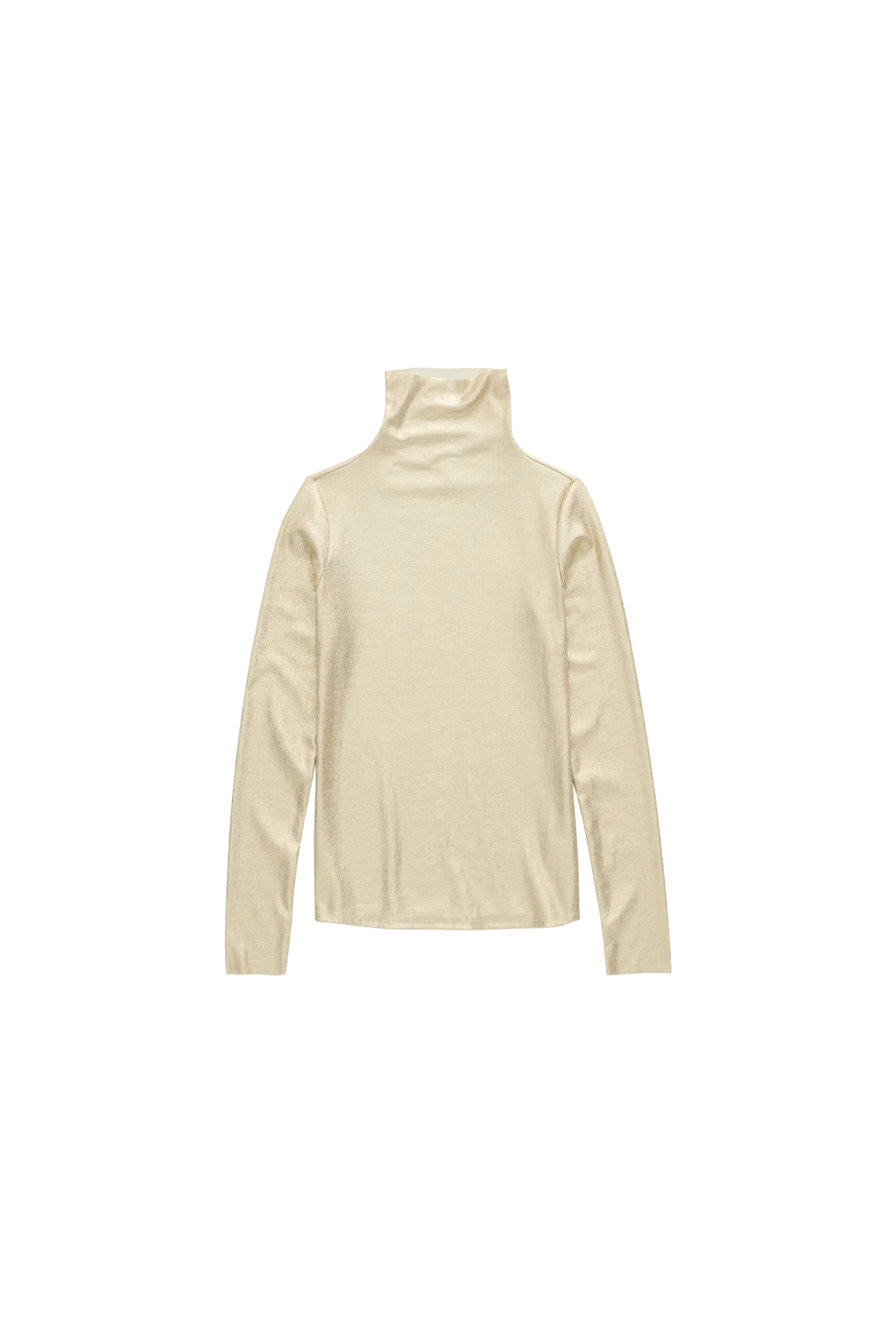 AG Metallic Chels Turtleneck