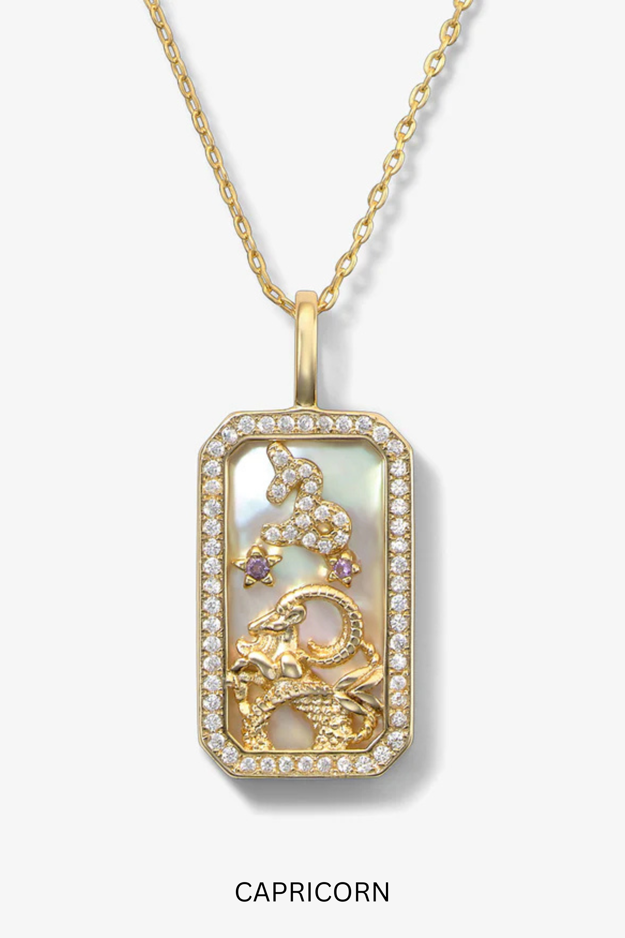 Melinda Maria Zodiac Amulet Necklace